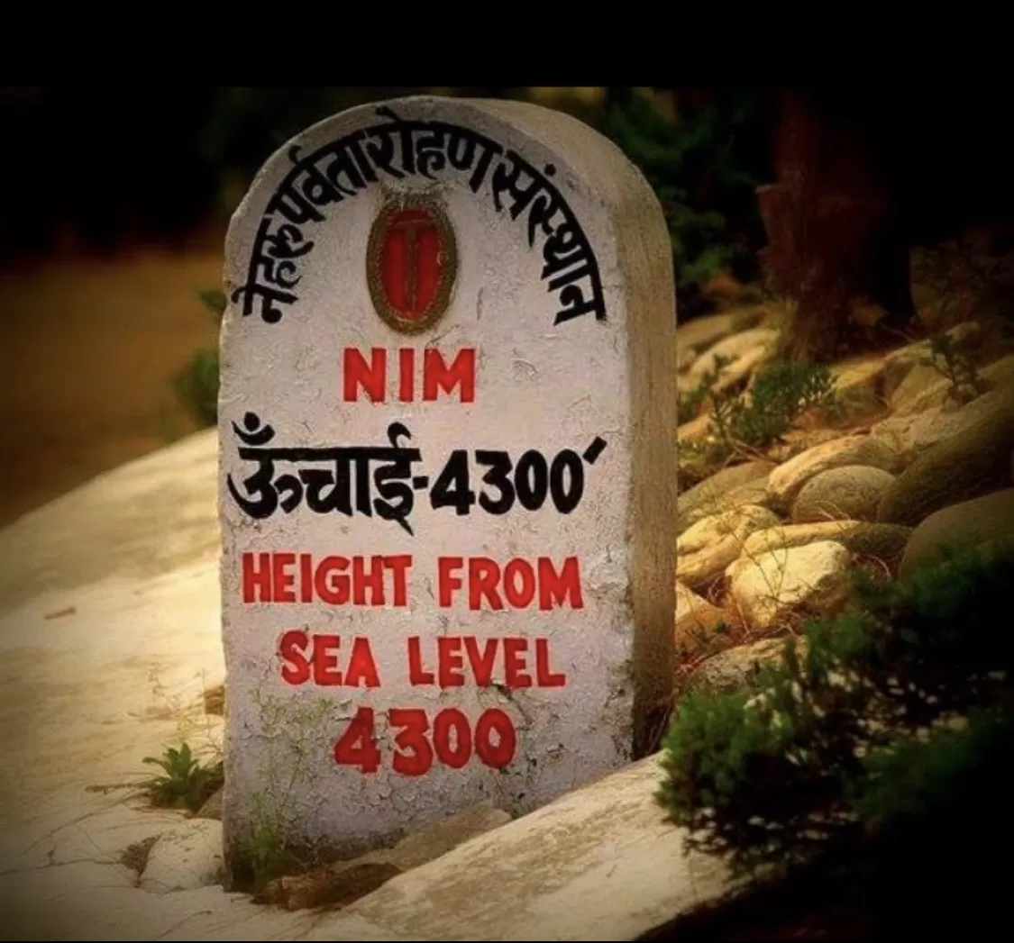 Photo of Nim Uttarkashi By Madan Singh (Maddy)