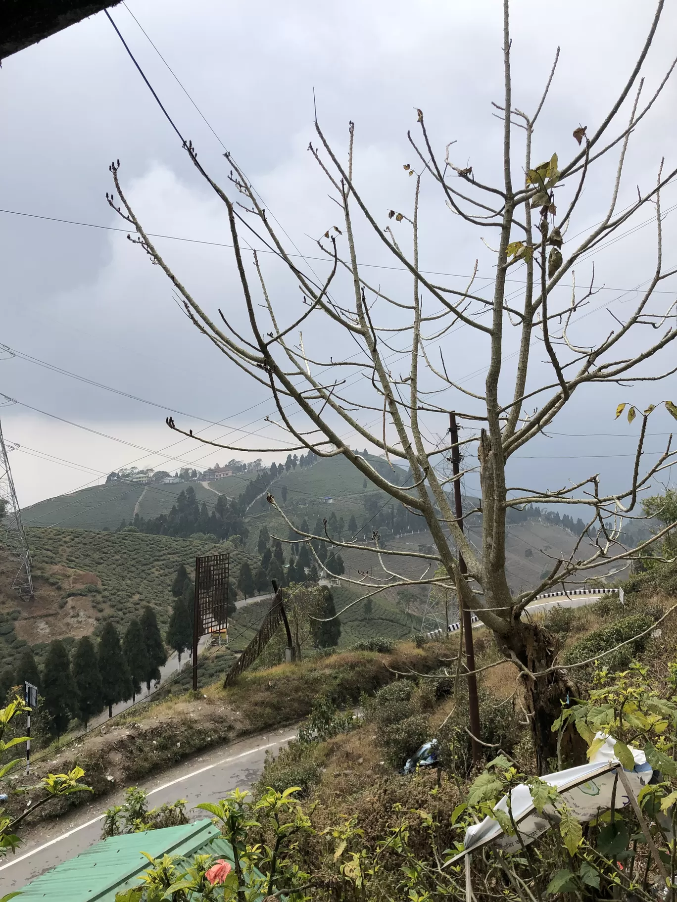Photo of Mirik By Raghib Khan