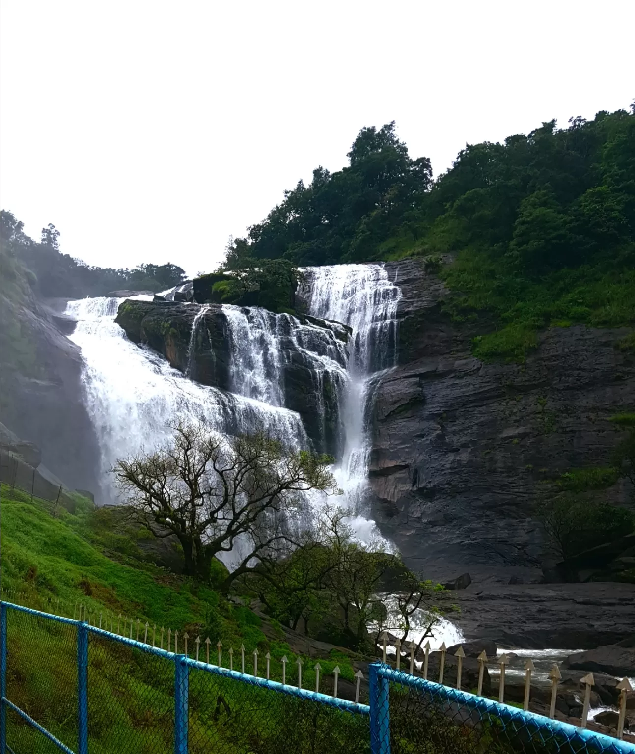 Photo of Mallalli Waterfalls By akanksha jain