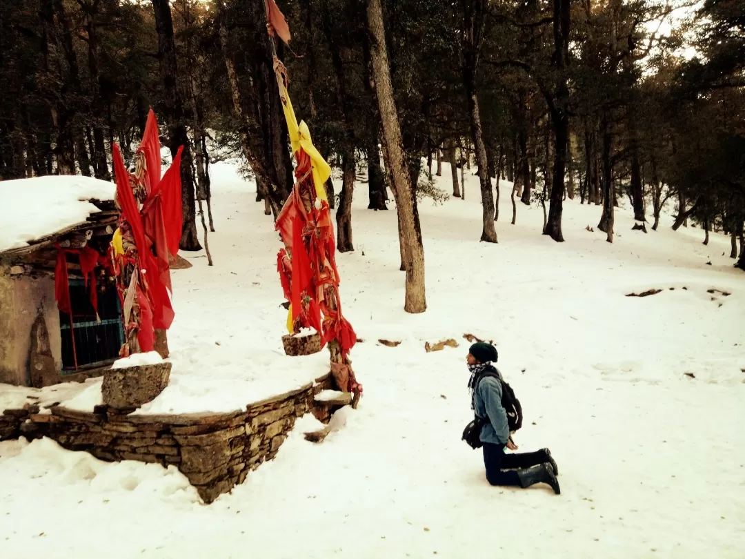 Photo of Auli Laga Joshimath By The Cabuliwallah