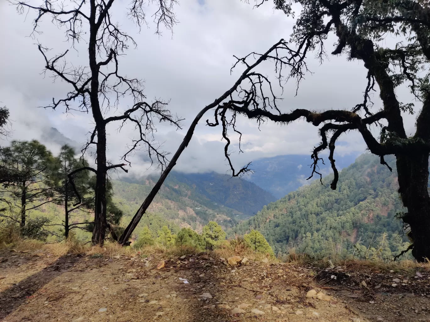 Photo of Pangoot By The Cabuliwallah