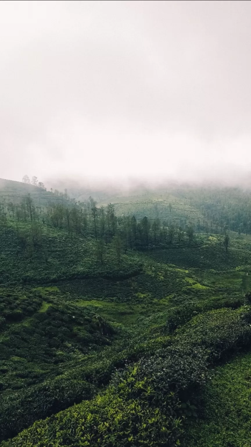 Photo of Ooty By Shaheen 