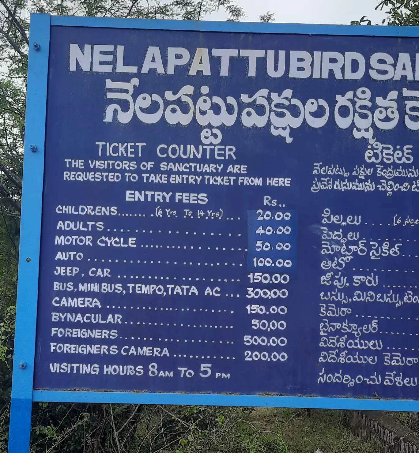 Photo of Pulicat Bird Sanctuary By Trekking CrabAries