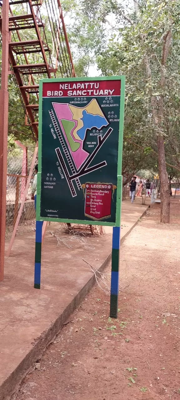 Photo of Pulicat Bird Sanctuary By Trekking CrabAries