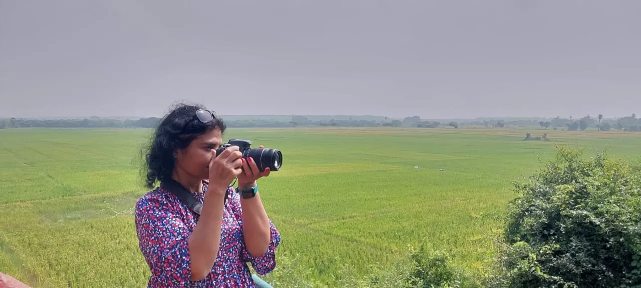 Photo of Pulicat Bird Sanctuary By Trekking CrabAries