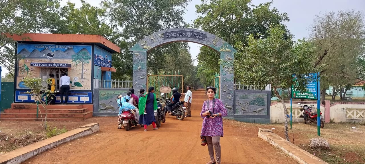 Photo of Pulicat Bird Sanctuary By Trekking CrabAries
