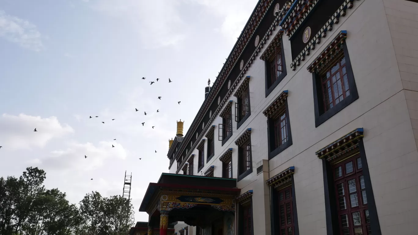 Photo of Namdroling Monastery Golden Temple By Mithun Rajan