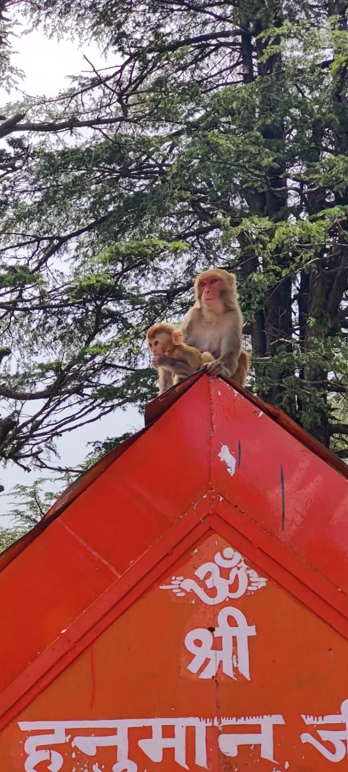 Photo of Hanuman Mandir Shimla By Mithun Rajan