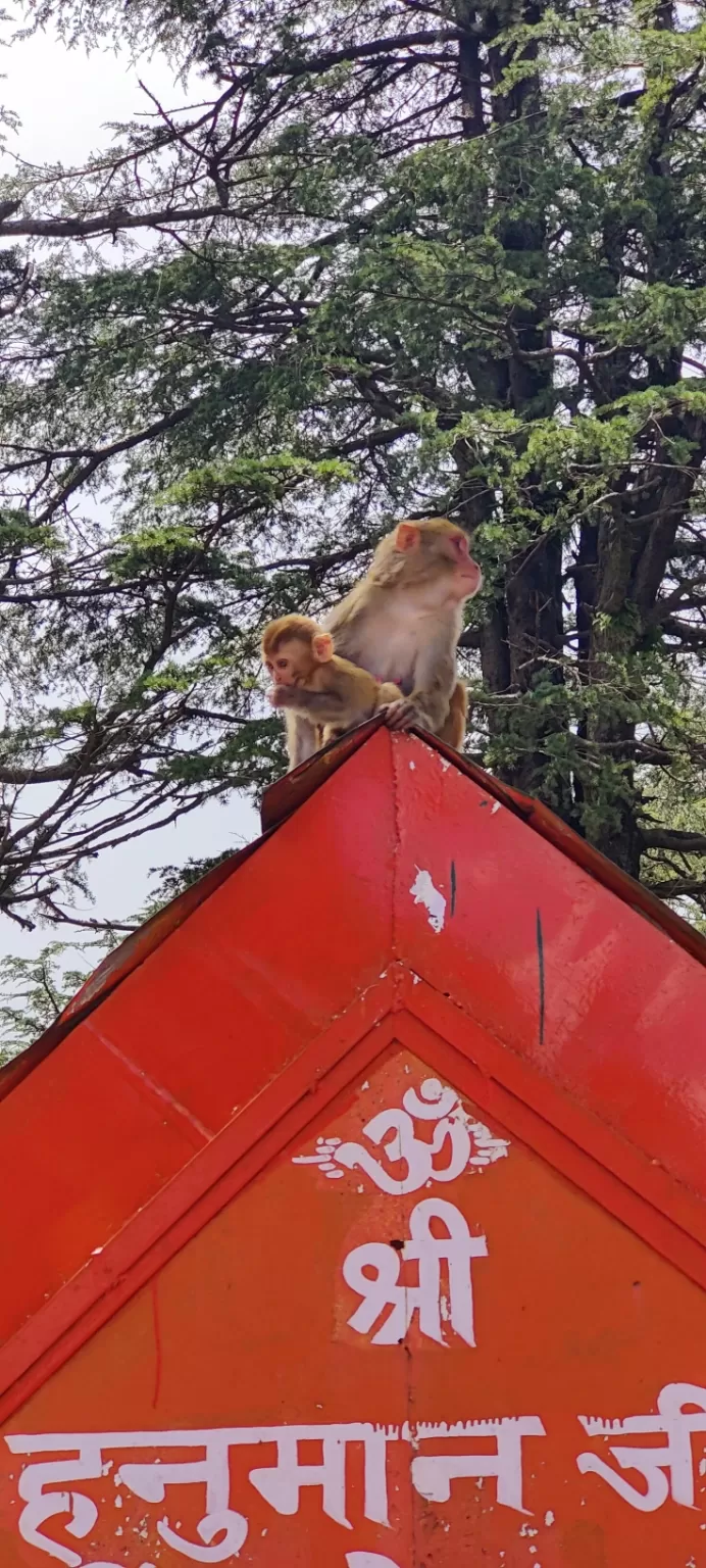 Photo of Hanuman Mandir Shimla By Mithun Rajan