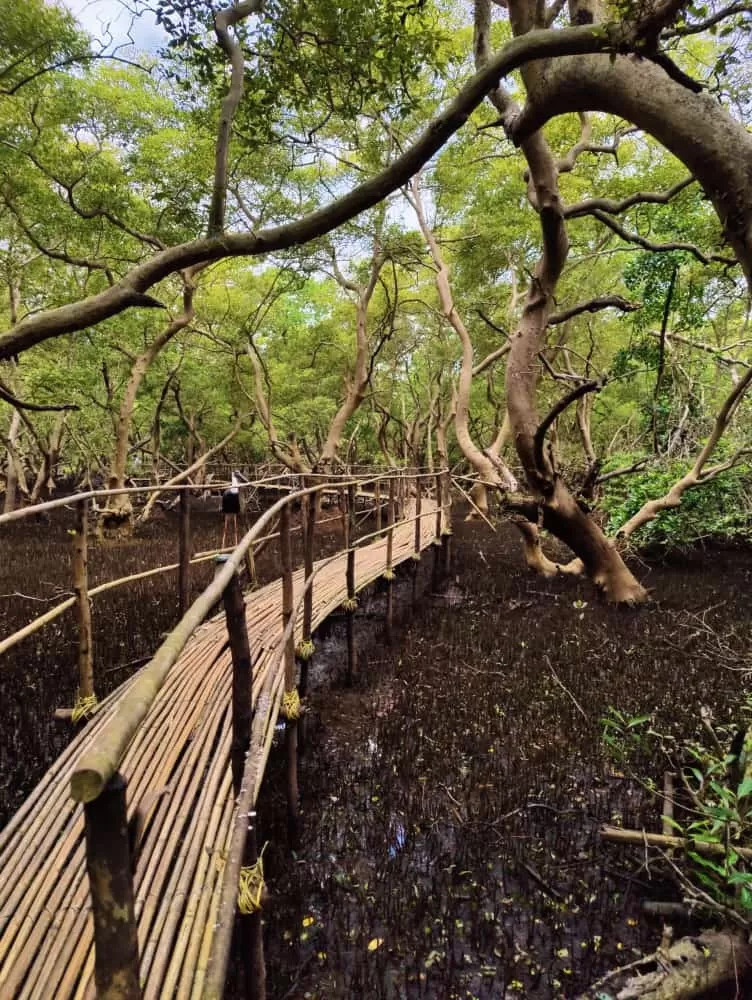 Photo of Dr. Salim Ali Bird Sanctuary By Mithun Rajan