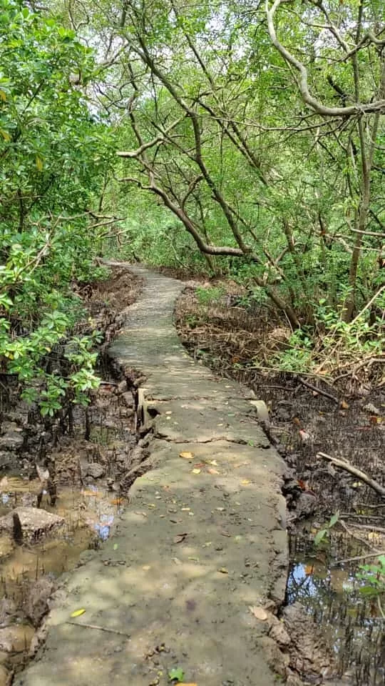 Photo of Dr. Salim Ali Bird Sanctuary By Mithun Rajan