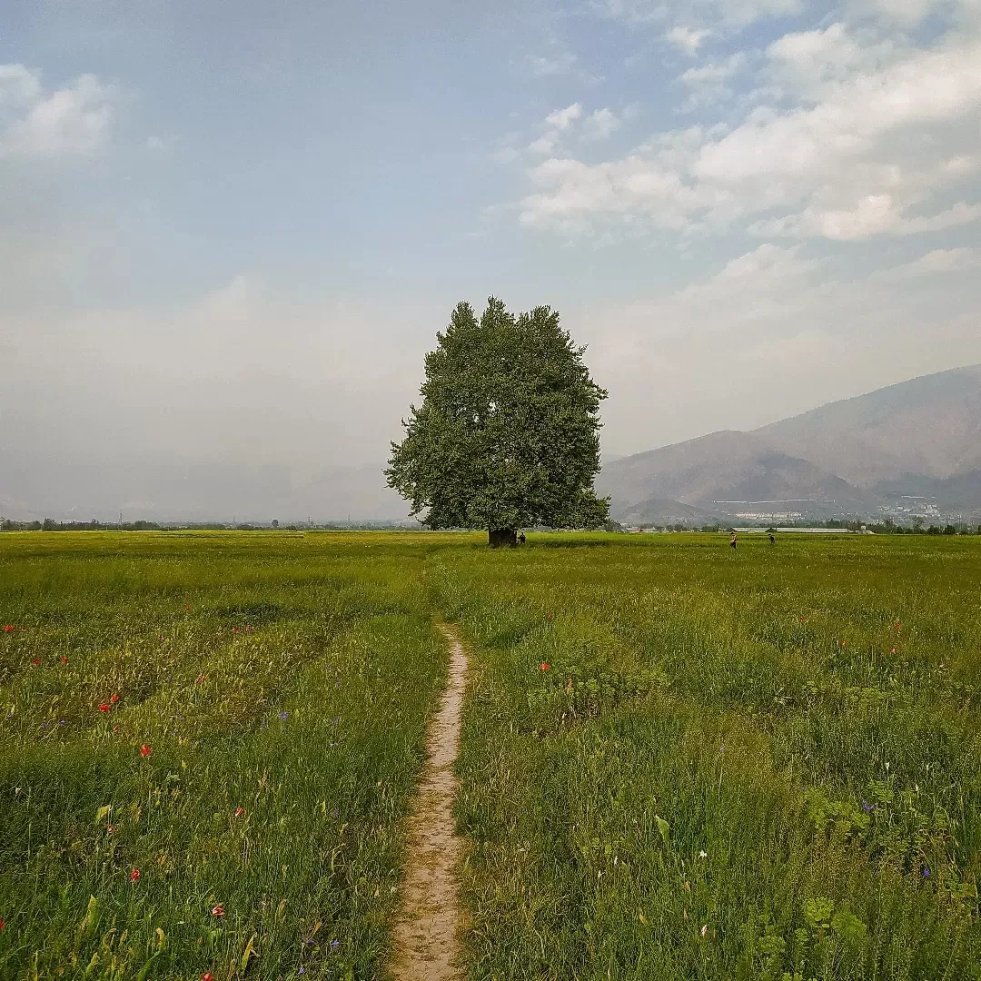 Photo of Kashmir By Faizan Gulzar