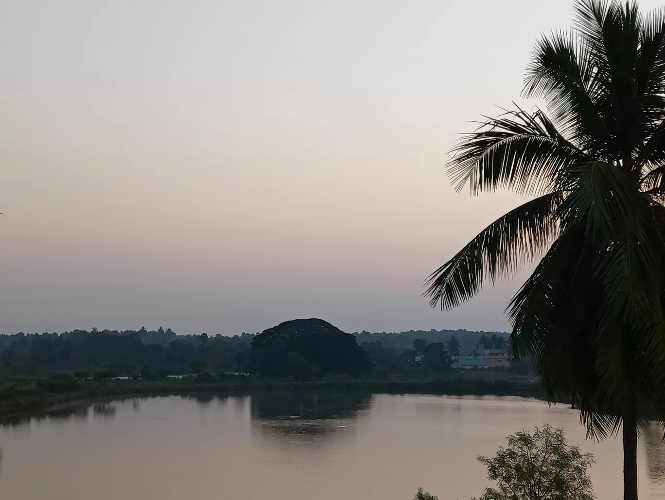 Photo of Rajahmundry By Ashish_reddy
