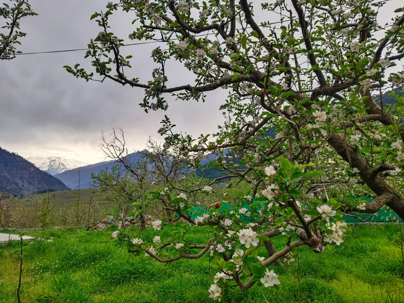 Photo of Manali By We The Wanderfuls