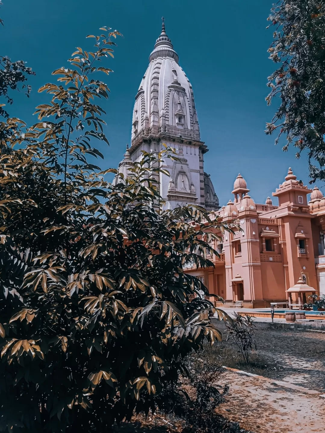 Photo of BHU By Amit Maurya