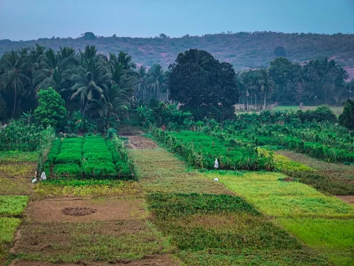 Photo of Shivam Bnb Mandrem By MAMIDIPALLI KARTHIKEYAN