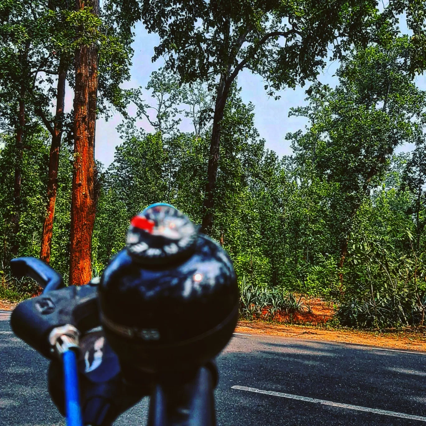 Photo of Surguja By Soumya Sharma