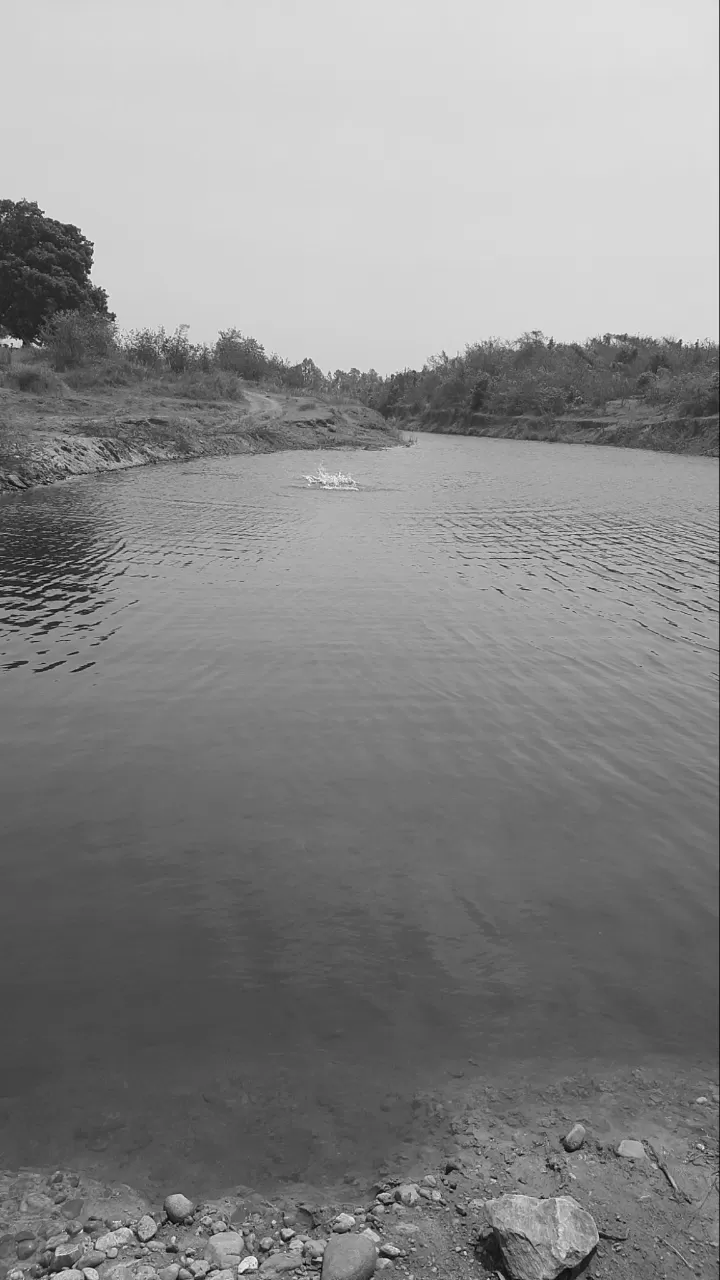 Photo of Surguja By Soumya Sharma