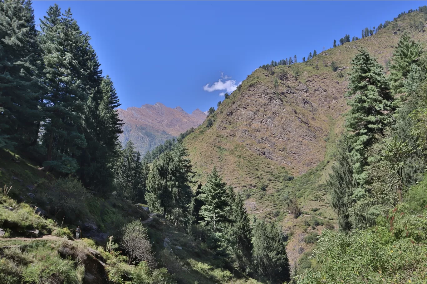 Photo of Kheerganga Trek and Camps By zeem babu 