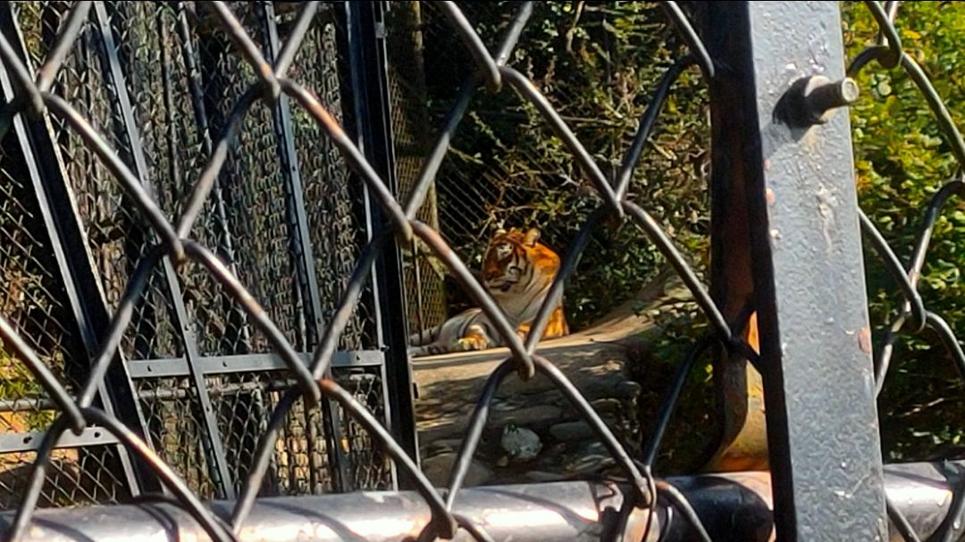 Photo of Kanpur Zoo Lake By Neha Patel