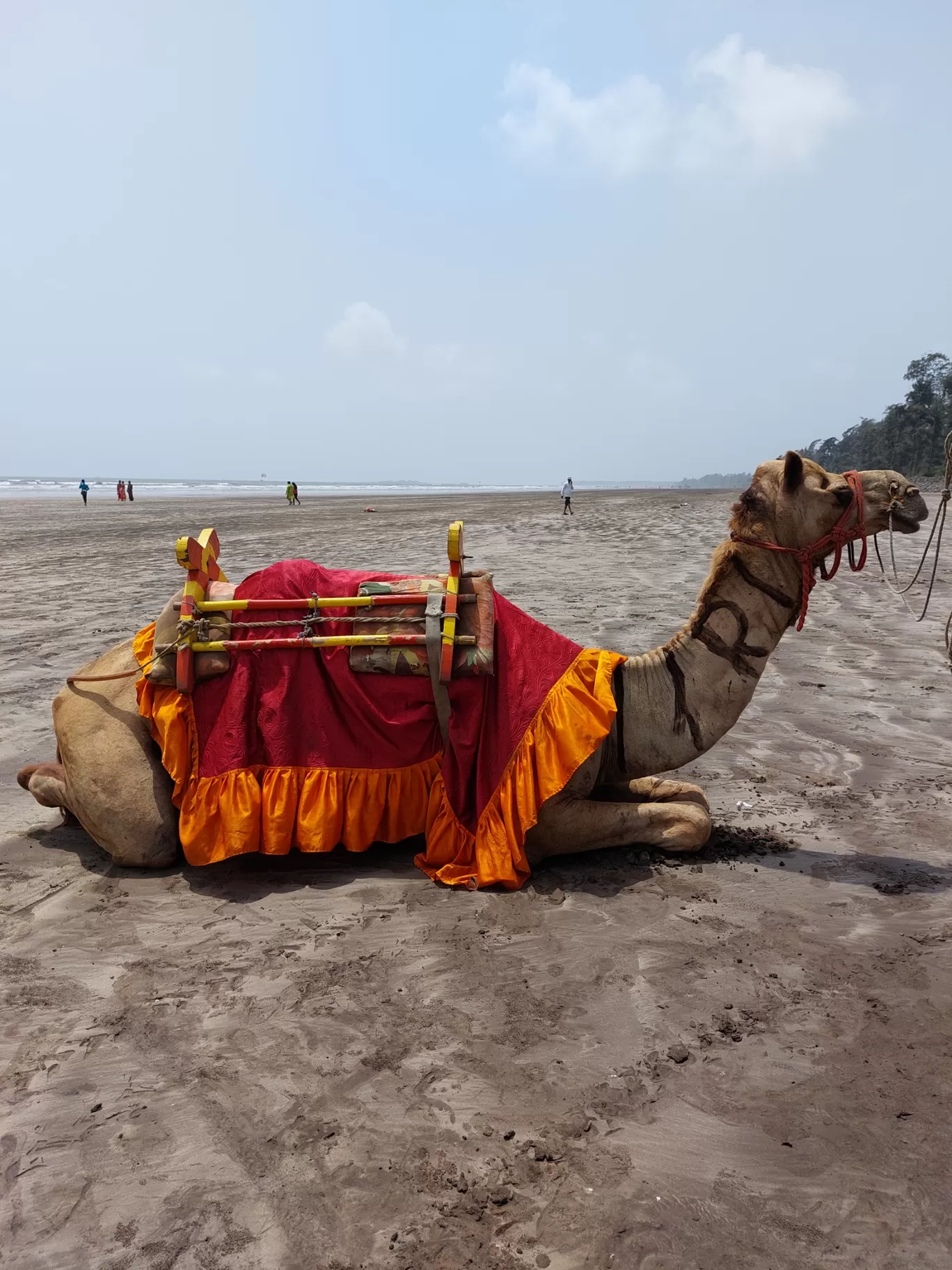 Photo of Nagaon Beach Alibaug By Ankit Gawli