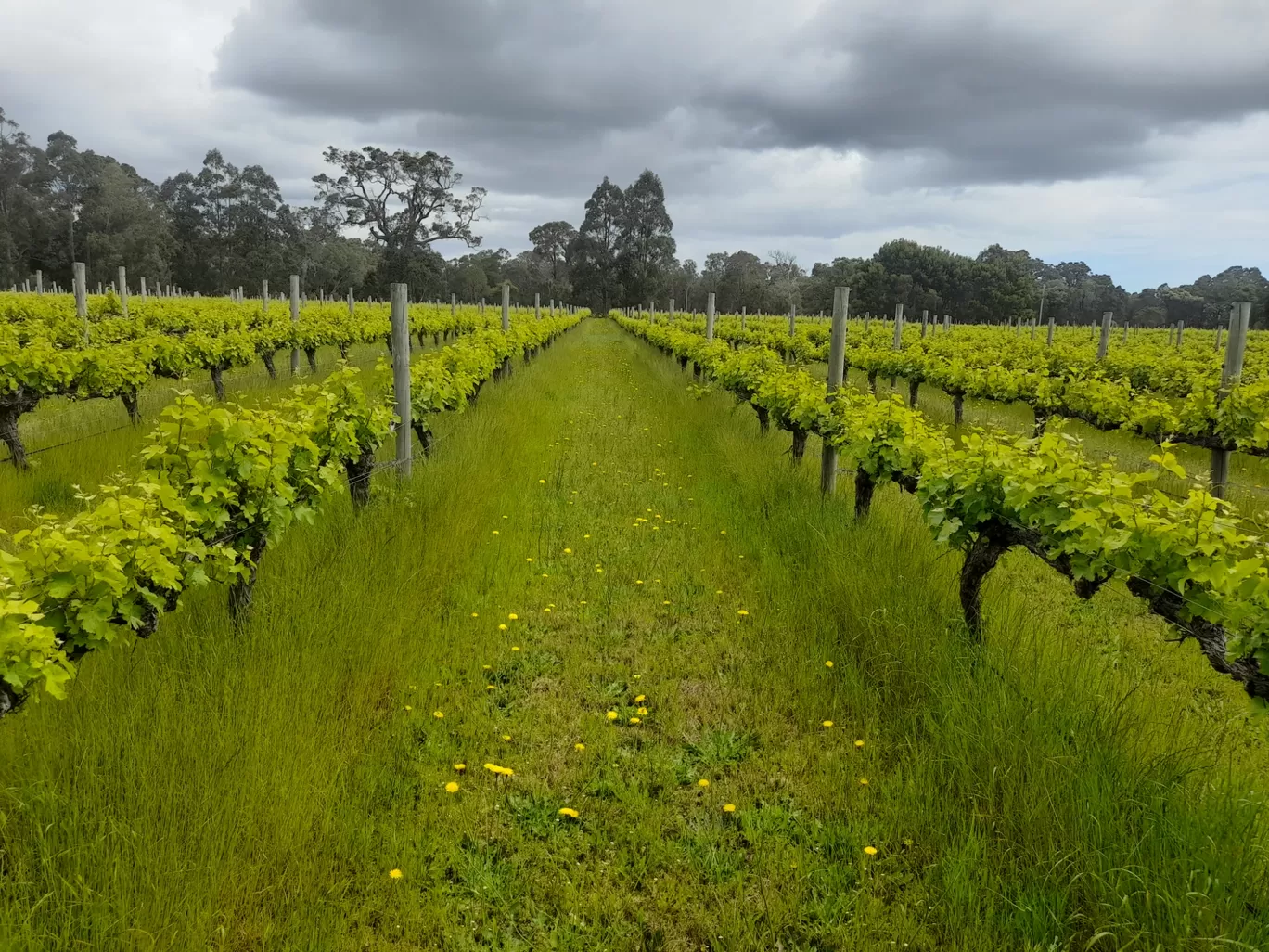 Photo of Margaret River By Driver