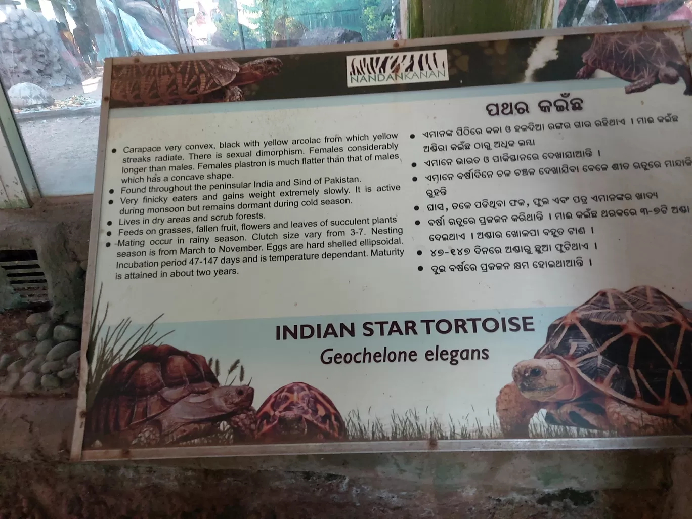 Photo of Nandankanan Zoological Park By Harjit Singh 