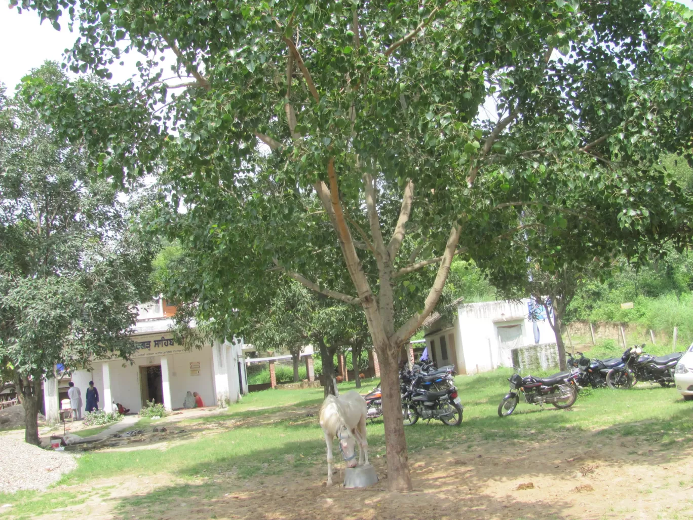 Photo of Gurudwara Lohgarh Road By Harjit Singh 