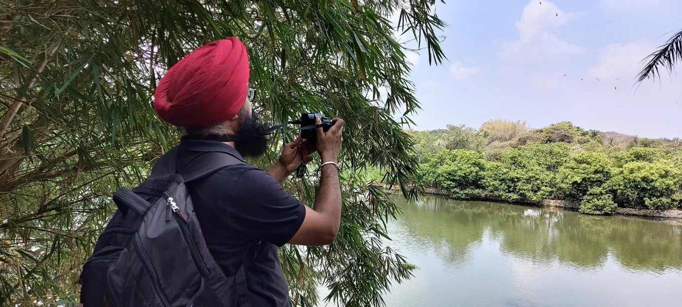 Photo of Ranganathittu Bird Sanctuary By Harjit Singh 