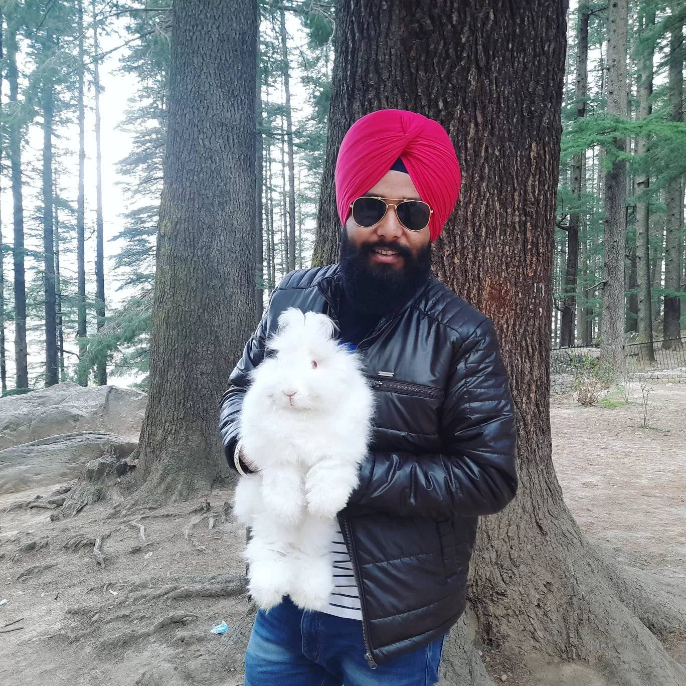 Photo of Manali By Ranjit Sekhon Vlogs