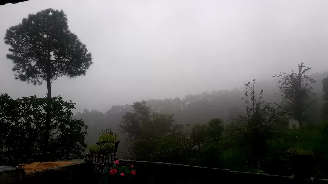 Photo of Almora By Vir Singh Rautela
