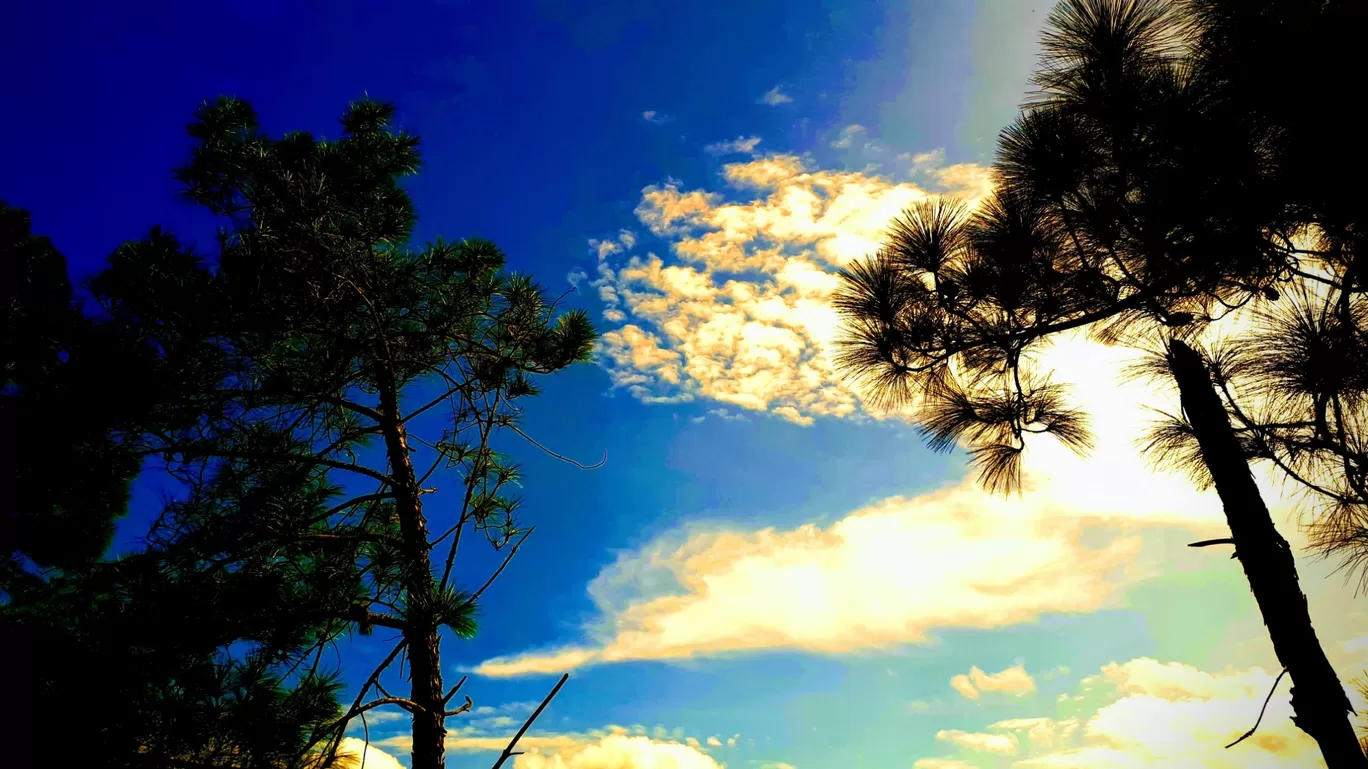 Photo of Almora By Vir Singh Rautela