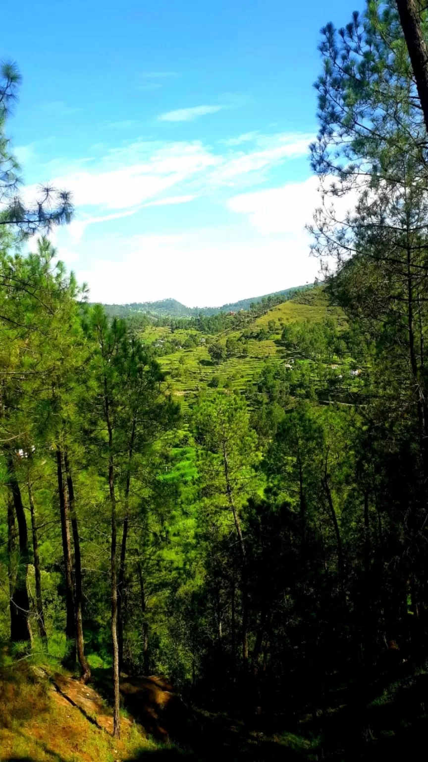 Photo of Almora By Vir Singh Rautela