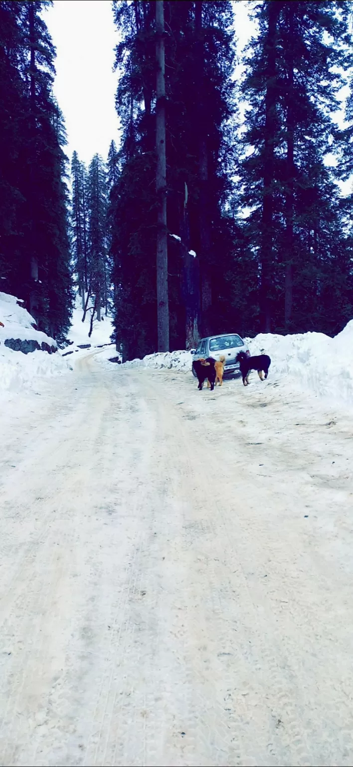 Photo of Hampta Pass Snow Area By Vir Singh Rautela
