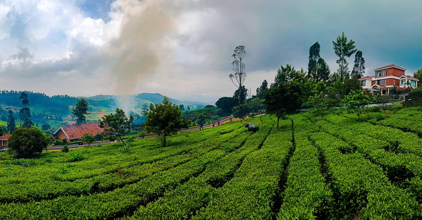 Photo of Ooty By PANKTI