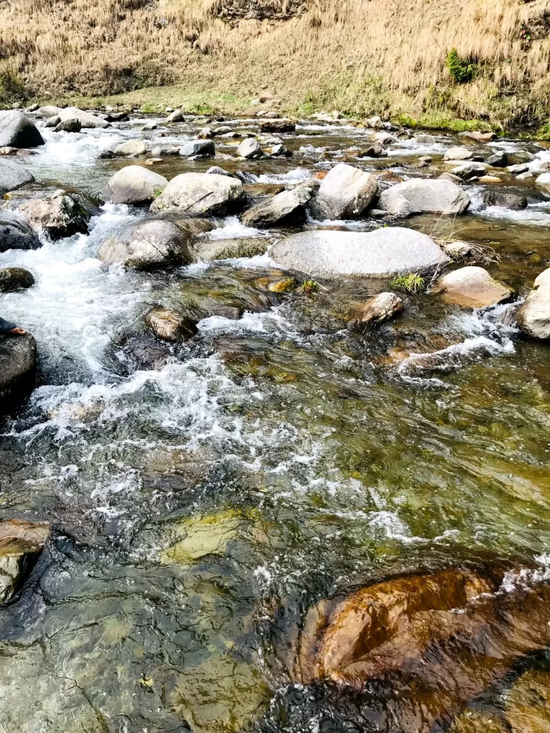 Photo of Sarthal By Harinder Kaur