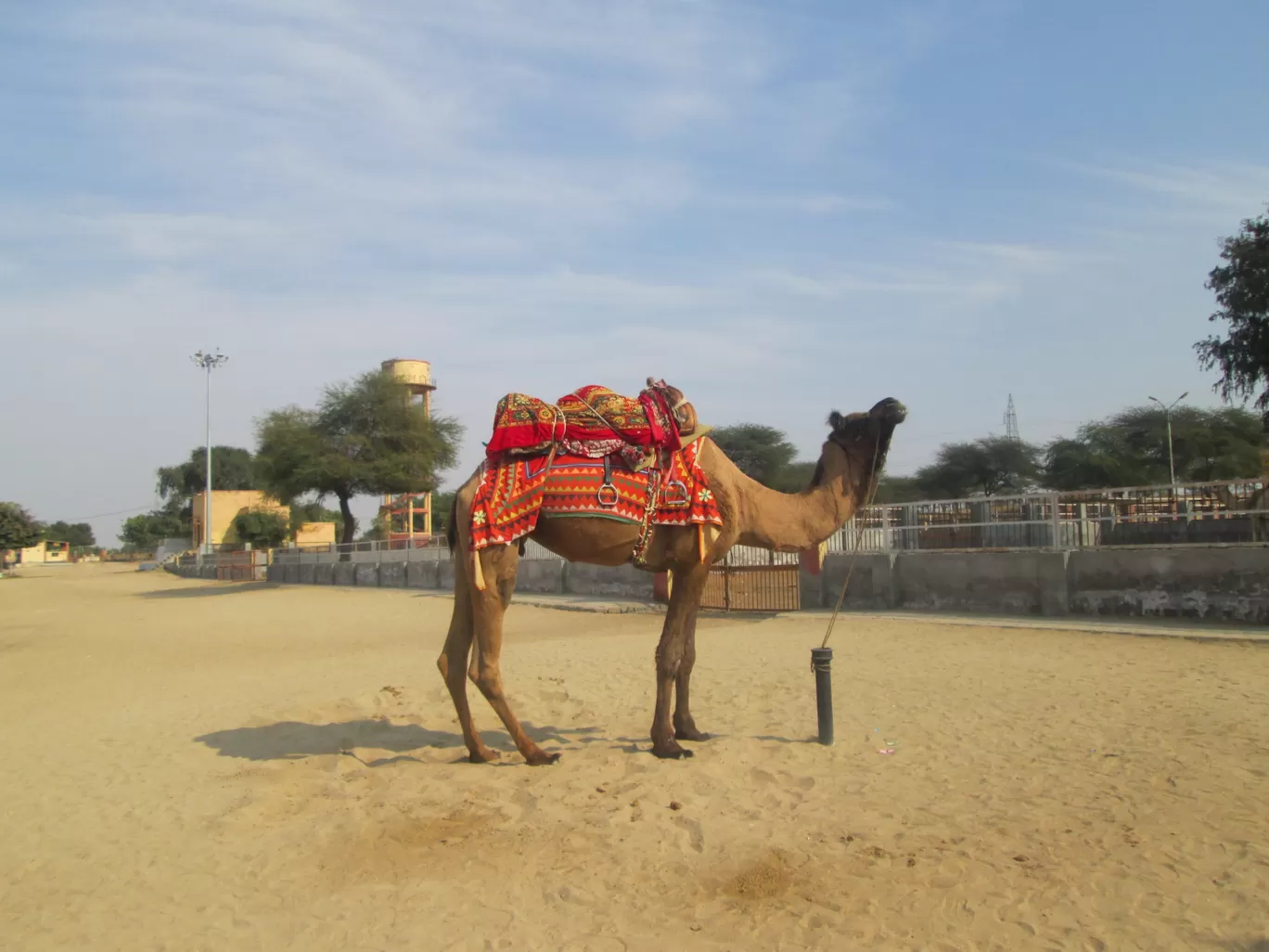 Photo of Bikaner By Harinder Kaur