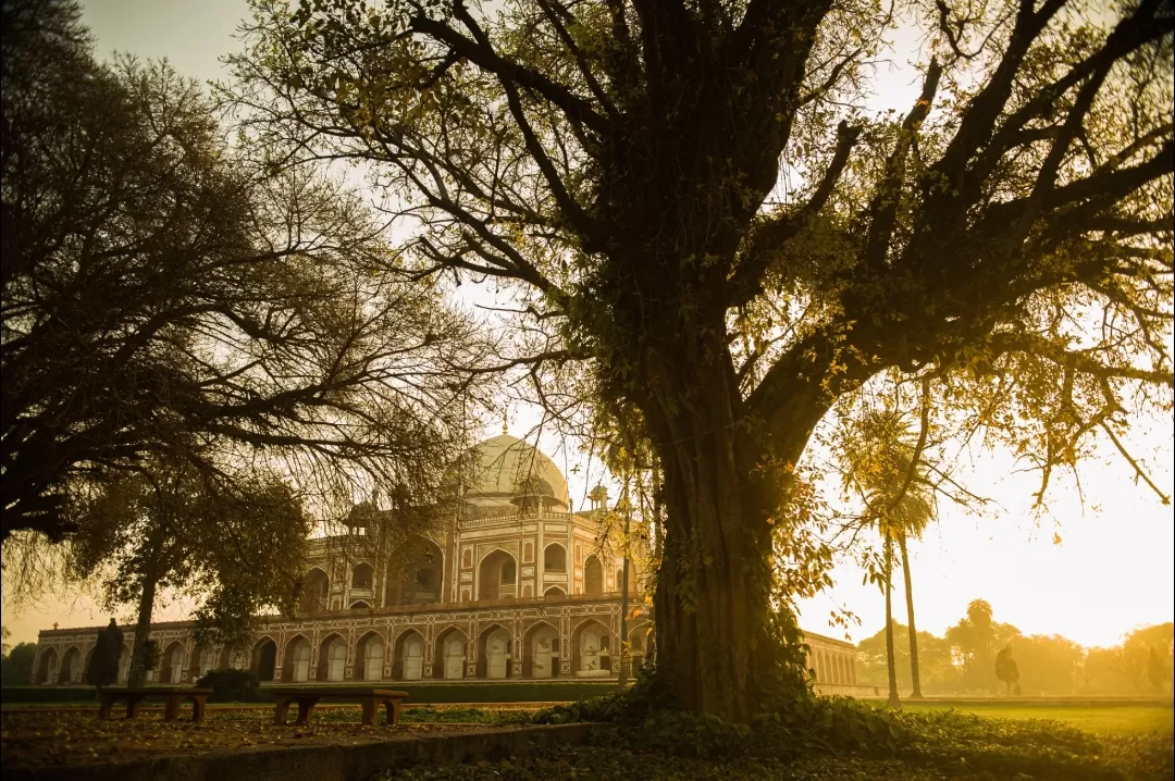 Photo of Humayun's Tomb By Ekansh Mehta 