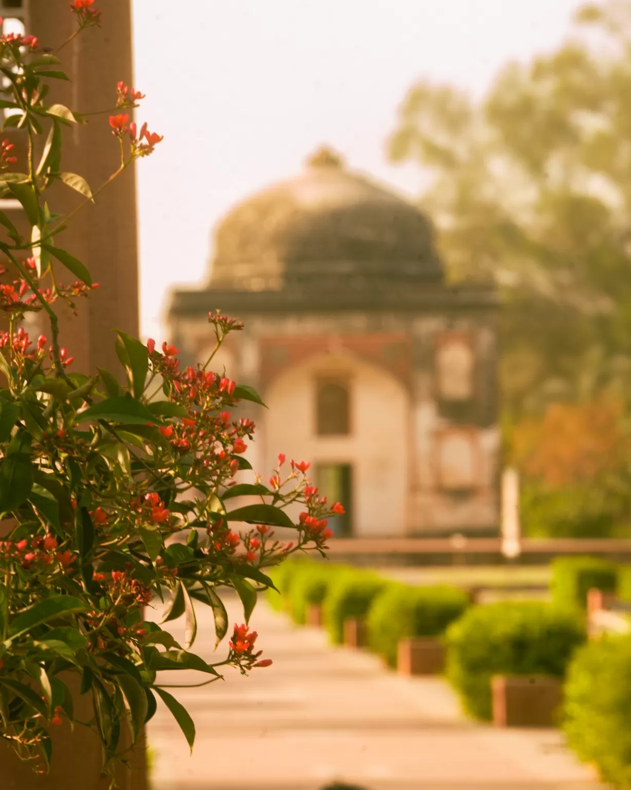 Photo of Delhi By Ekansh Mehta 