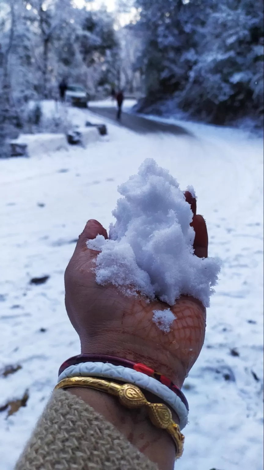 Photo of Uttarakhand By Sujata Saha