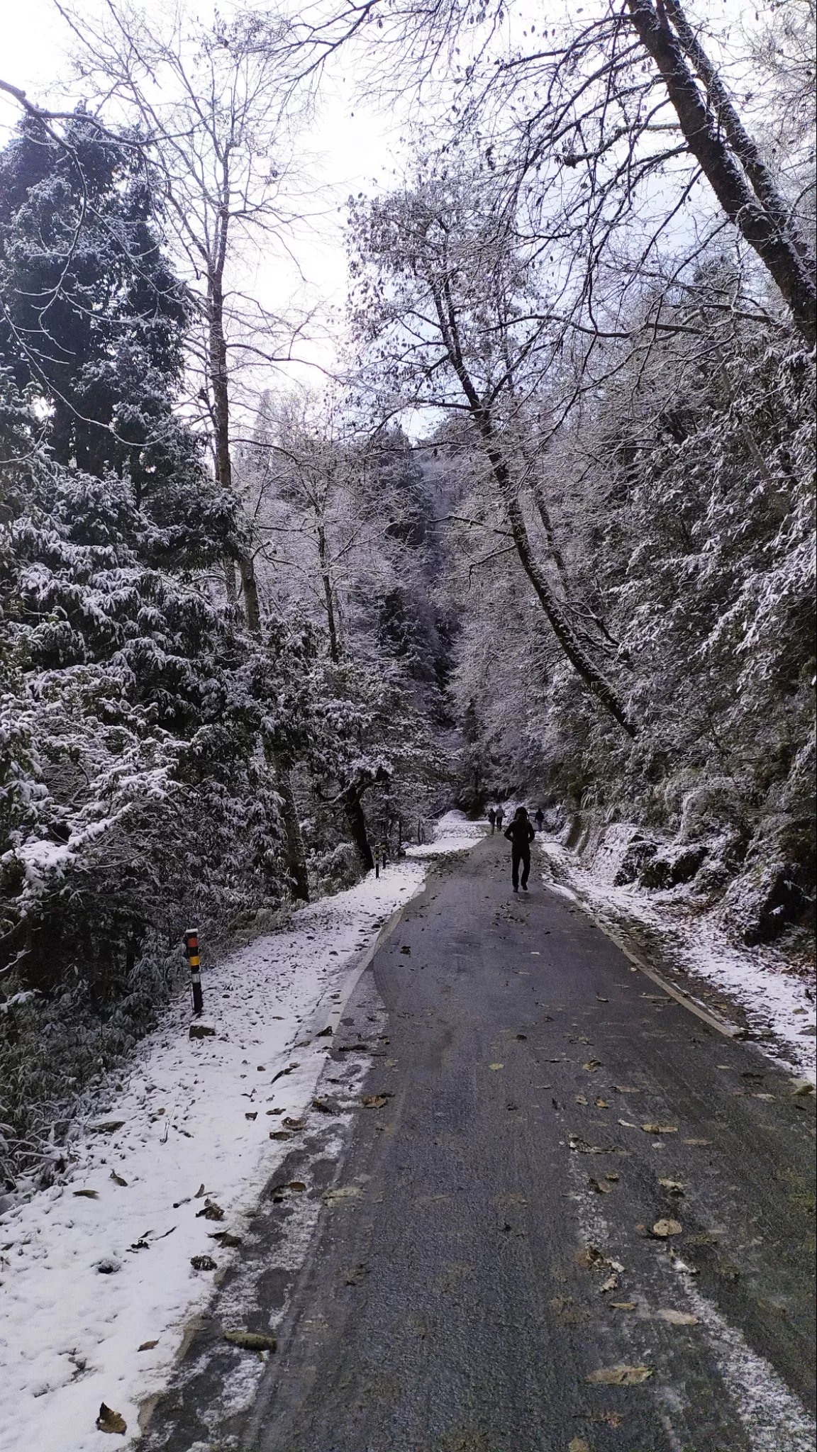 Photo of Uttarakhand By Sujata Saha