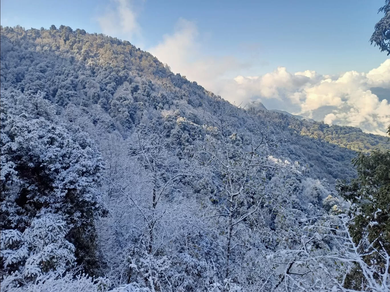 Photo of Uttarakhand By Sujata Saha