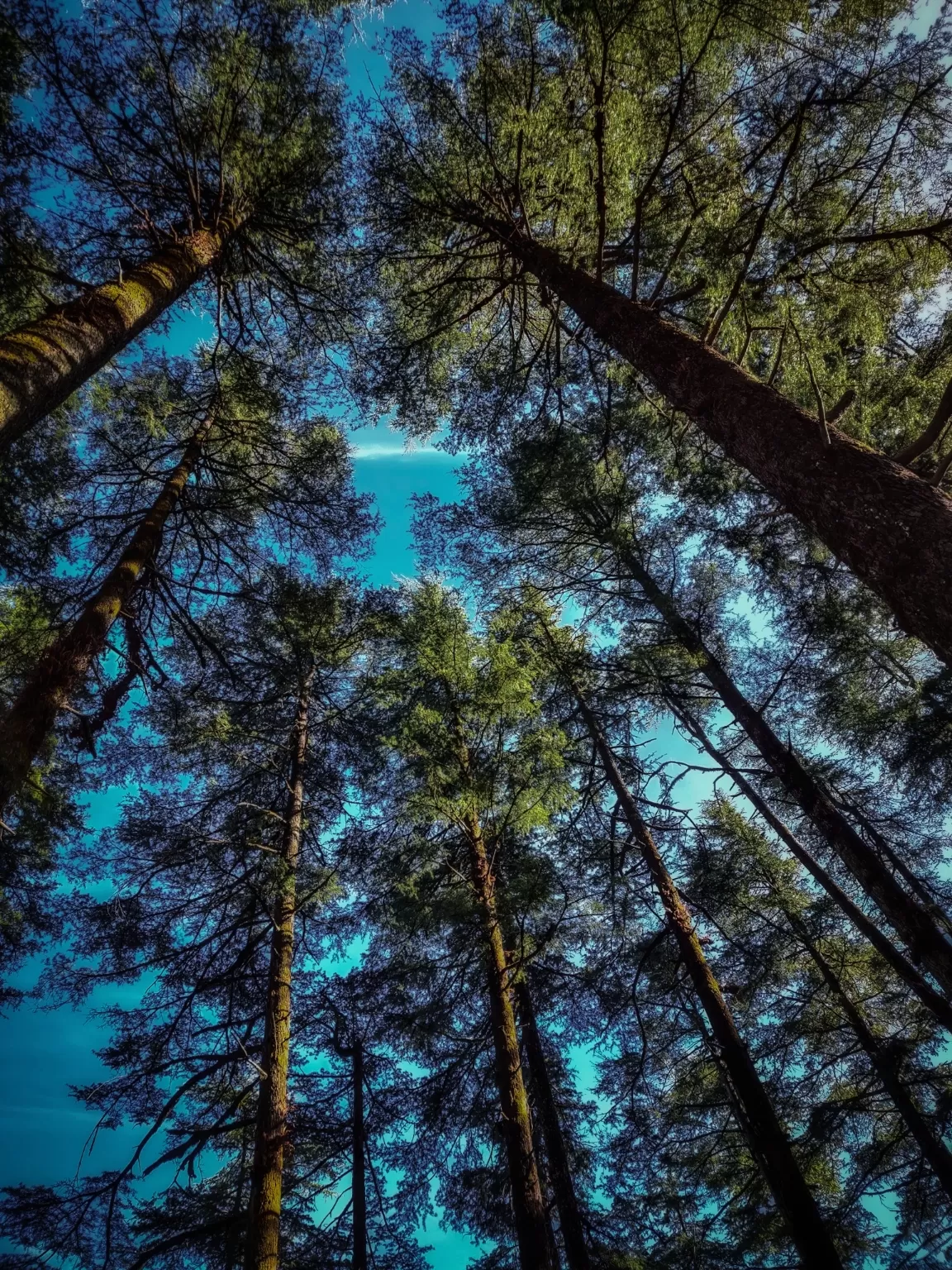 Photo of Dhanaulti By Azhakappan Rahul