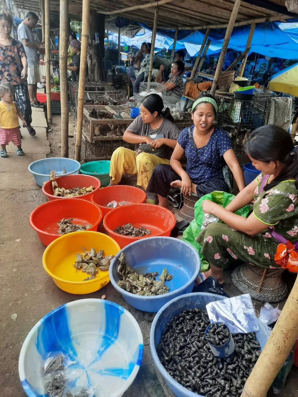 Photo of Dimapur By A Little Adrift