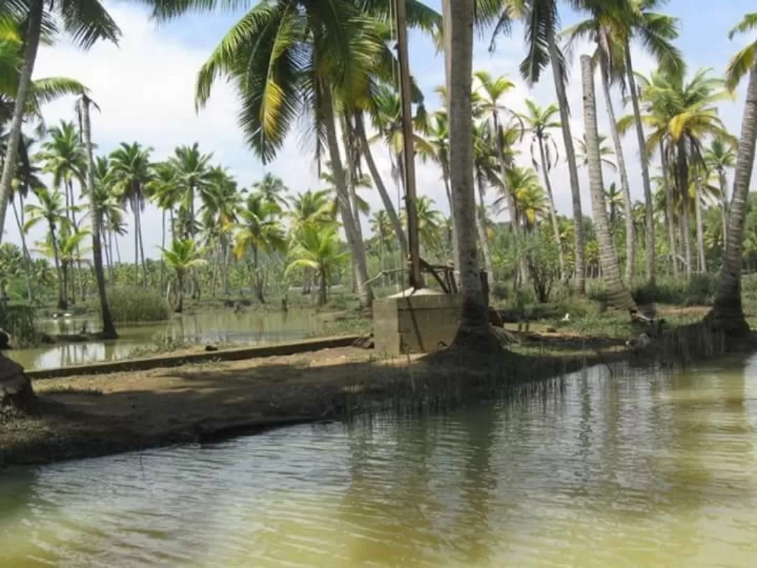 Photo of Poovar By Eshita Das