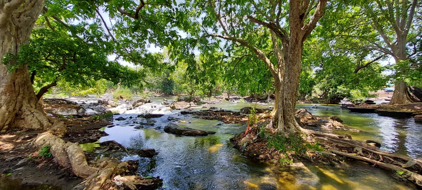 Photo of Hogenakkal Water Falls By Eshita Das