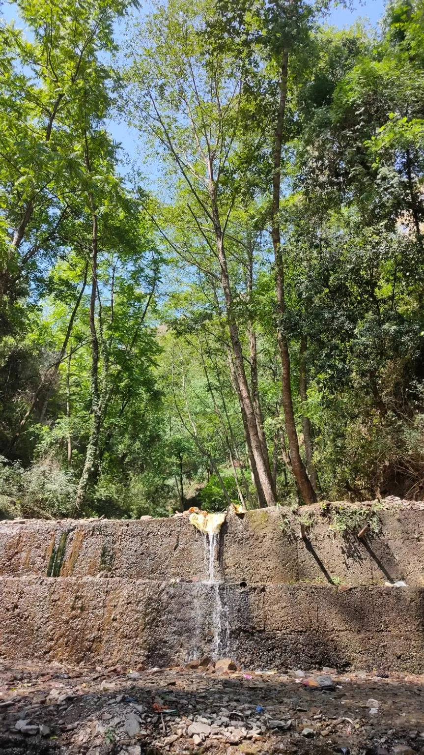 Photo of Sewla Khurd By SANJAY CHAUDHARY