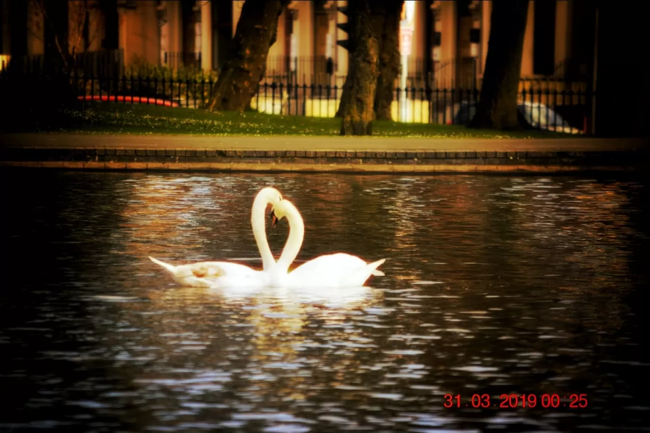 Photo of Waterworks By Priyamvada Mishra