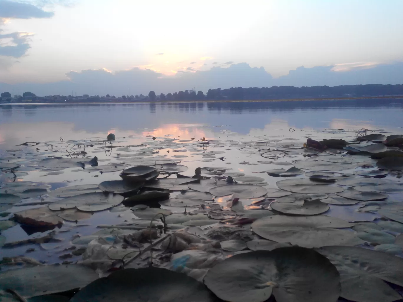 Photo of Dal Lake By Rahul Goyal