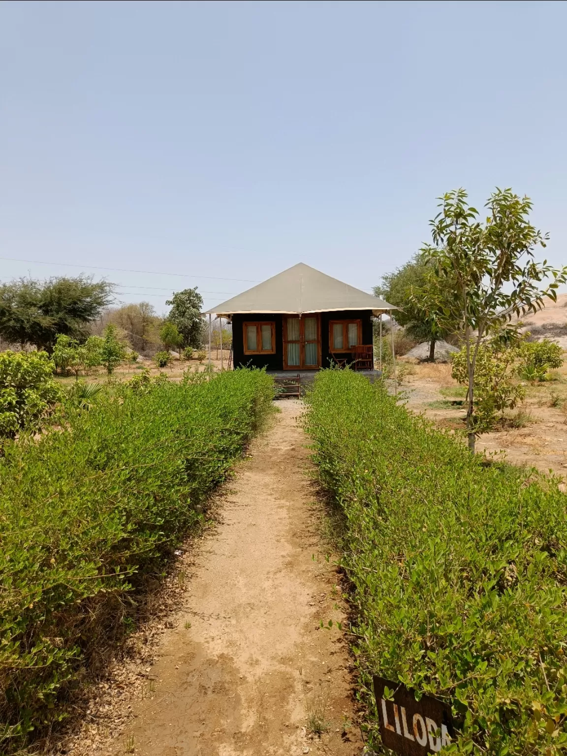 Photo of Thour Nature Resorts - Jawai Leopard Safari Camp Jawai Bandh By Tejas Modi